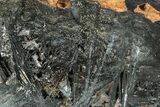 Polished Reticulated Hematite Slab - Western Australia #208224-1